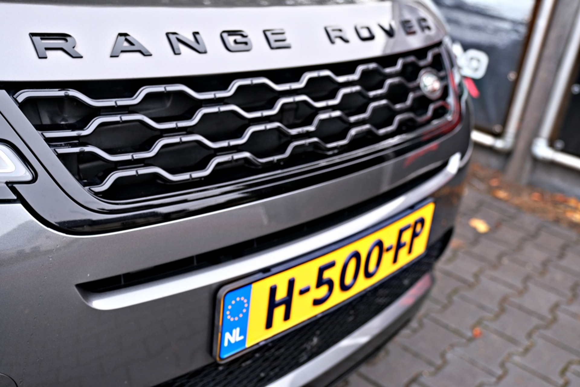 40689355-11.jpg