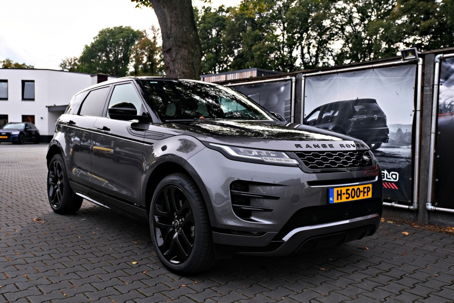 40689355-9.jpg